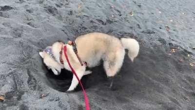 We are in the process of obtaining a patent for this move!