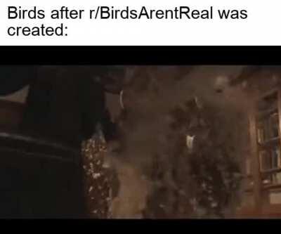 they were right all along