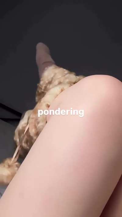 IG story