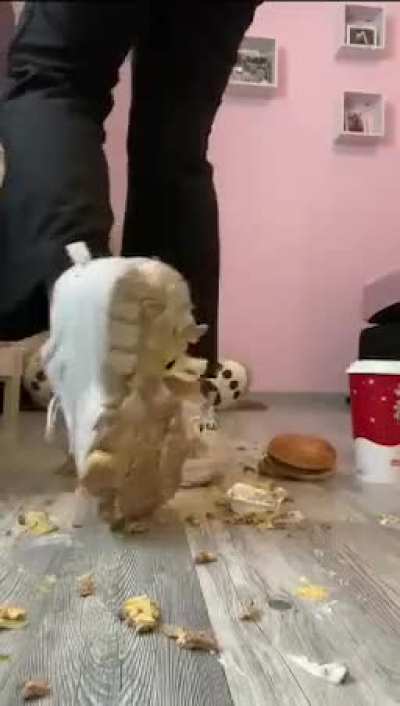 Fila Food crush dm full vidéo 😋