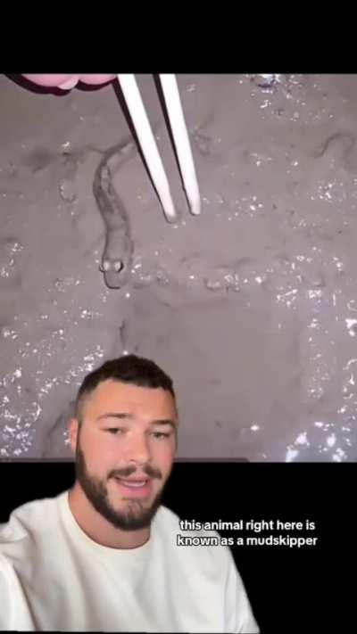 It was funnier in my head