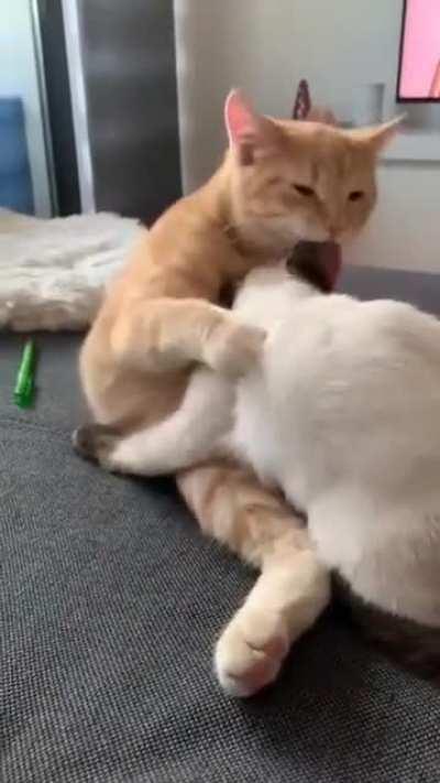 We love being together