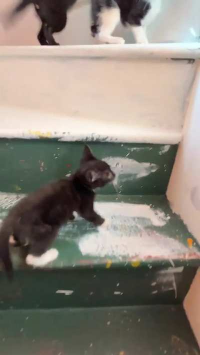 Their appetite seems to have returned