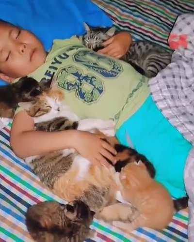 this must be so cozy