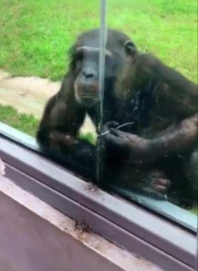 He knows what he's doing.