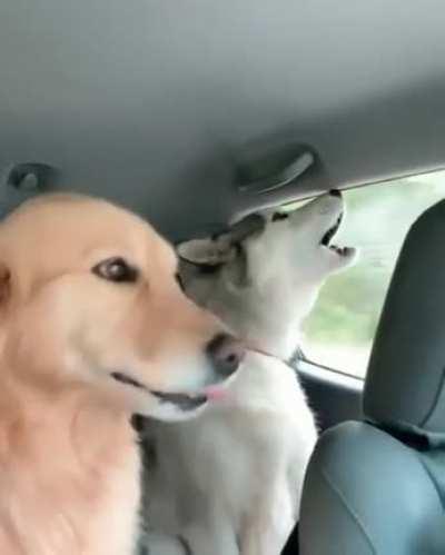 Are we there yet?