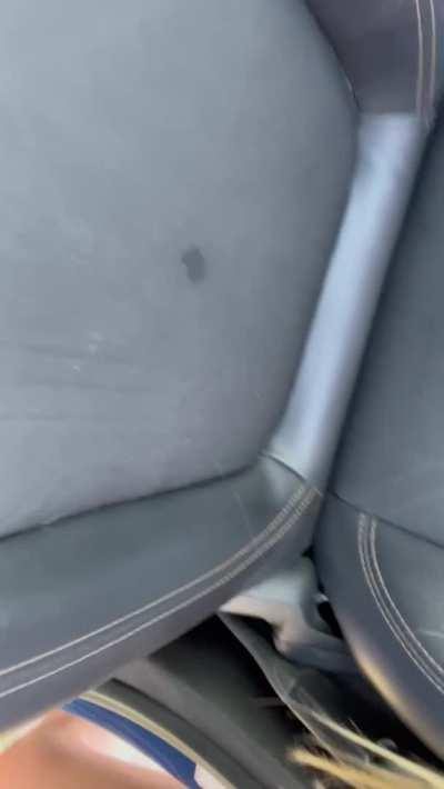 I probably should&rsquo;ve worn panties hehe