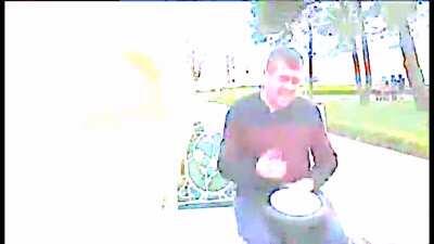 Cat vibing to ievan polkka reverse earrape