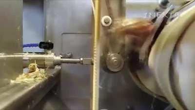 you can't never experience the joy of crab rollercoaster..