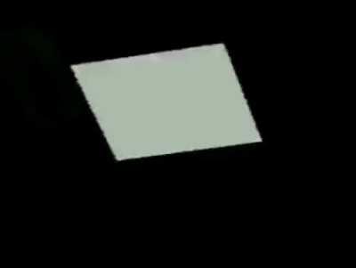 mt foto gato maconha :3