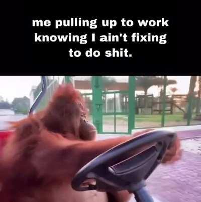 It really do be like that.