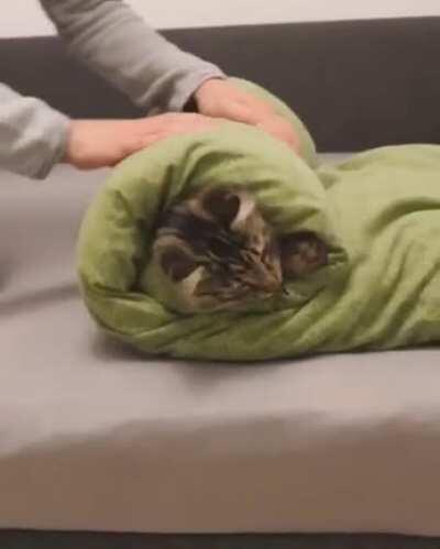 Linda! I’m not your sushi roll