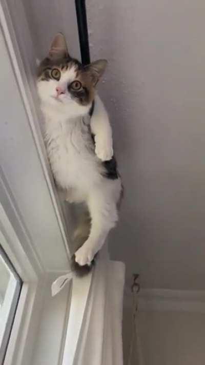 Hello, how did you get there?