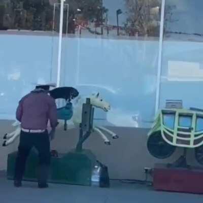 Just taking a break from the day, to have some fun