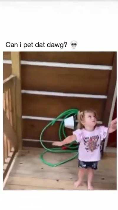 I wanna pet that dawg