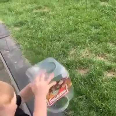 Say bye bye butterfly!