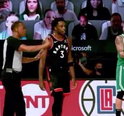 Toronto Raptors - Near, far, wherever you are