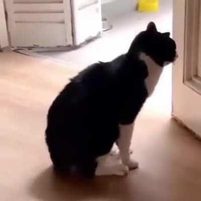 Can't relax..🐶 Party in the neighborhood..