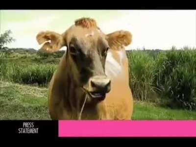 One of the best TV Commercial.