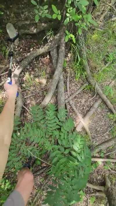 Picking up trash while riding the trails is no longer enough. Having fun while dootn' n' scootn'.