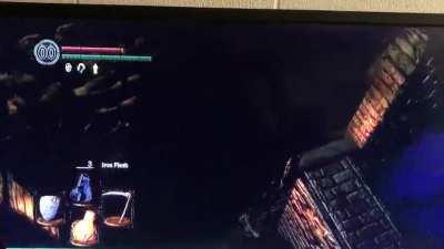 A rollercoaster of emotions