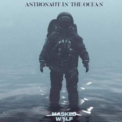 The song Astronaut in the Ocean uses a melody from Warrior Within's OST