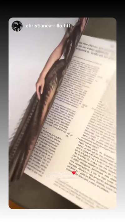 Flipping Through The Magazine