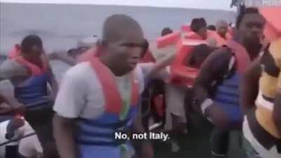 I am sure they all died inside after reaching the coast.