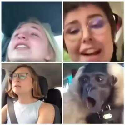 The tolerant and compassionate left