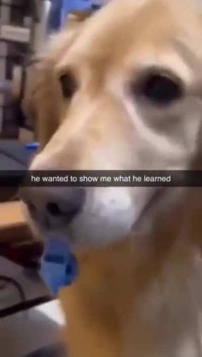 Very important video for you all