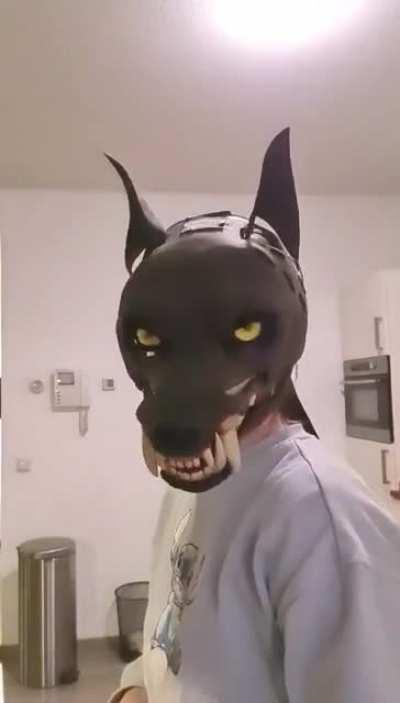 Furries are getting out of hand