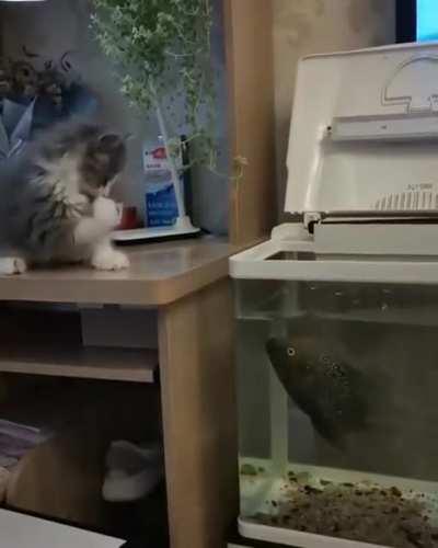 It was not an equal fight...