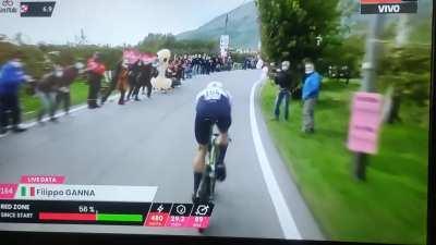 Some people dare to say cycling is boring...