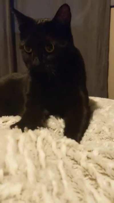 Early morning baking session (cut his nails as soon as he stopped)