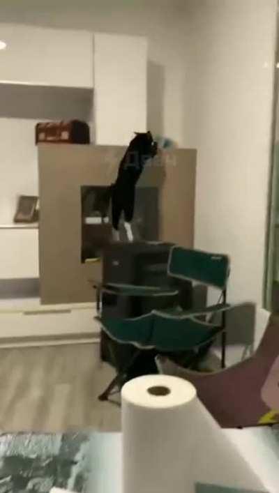 Когда почти прошел уровень но в конце всё равно сорвался