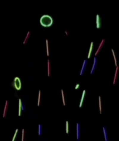 World record for the fastest gender swap