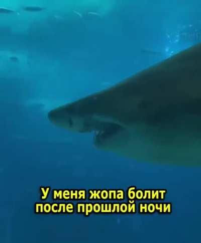 Снимай, снимай