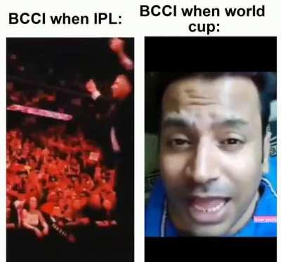 T: What is my profit from that?