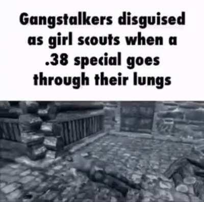 shitposting daily because I am incredibly bored (#448)