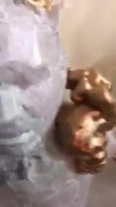 I already knew that schools were under the influence of evil but not to this extent... This is downright satanic with no hint of subtlety.