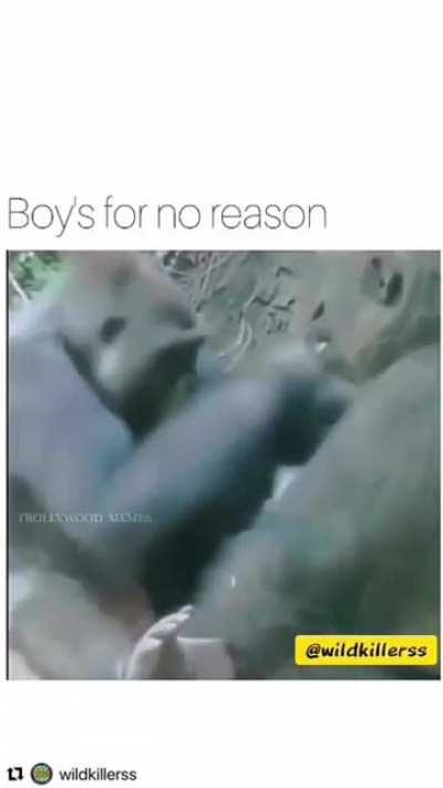 Just boys being boys