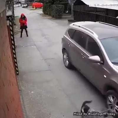 Dog saves girl from a kidnapper.