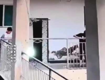 中国引以为豪的基建