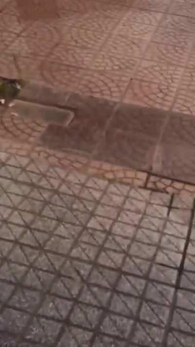 Viejo o Pibe? Que se armeeeeee