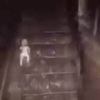 Amarillo amarillo platano