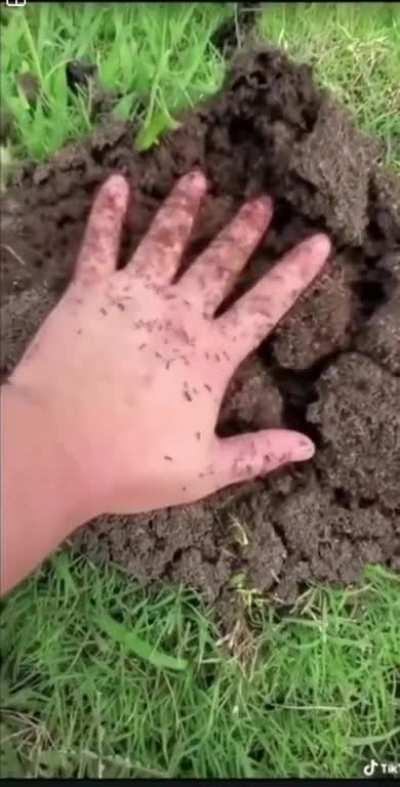 Cursed_AAAAAAAAAAAAA