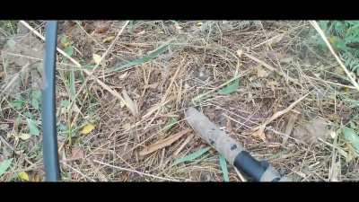 Compilation of Russian Soldiers Using AS VAL/VSS Variants in Ukraine [2022-2024]