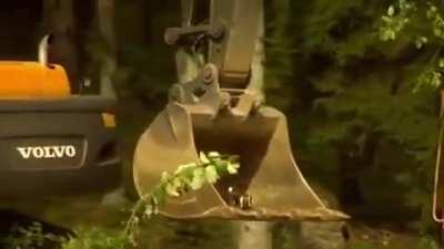 THIS IS HOW TO REPRODUCE. EEW GROSS.