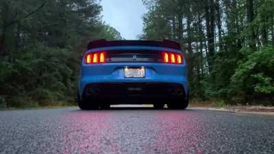 My Fire Breathing Snake