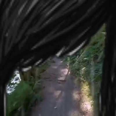 Spreading Awareness 😢💔💔